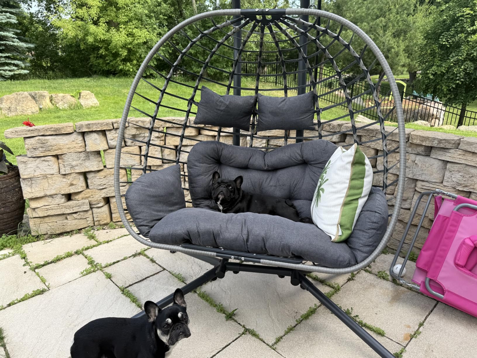Double Egg Chair Outdoor with Stand, Patio Hanging Swing, Beige | Indoor 2 Person Egg Swinging with Cushion, Wicker Loveseat for Porch Balcony Backyard, Cozy Hammock Chairs 650 LBS Capacity customer photo 1