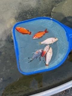 AquaMiracle Pond Waterfall Kit with Lights | 8