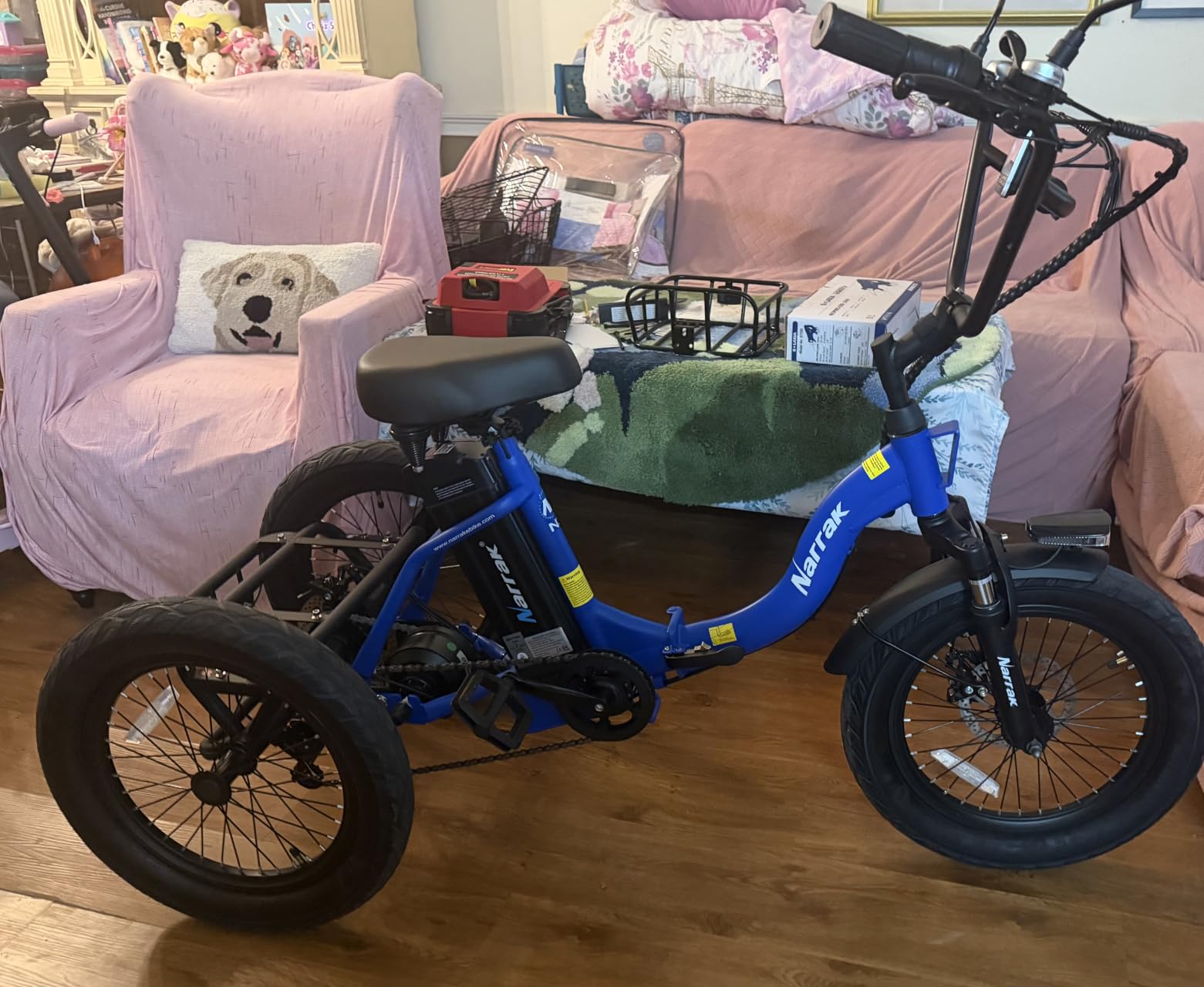 Electric Tricycle for Adults, 18