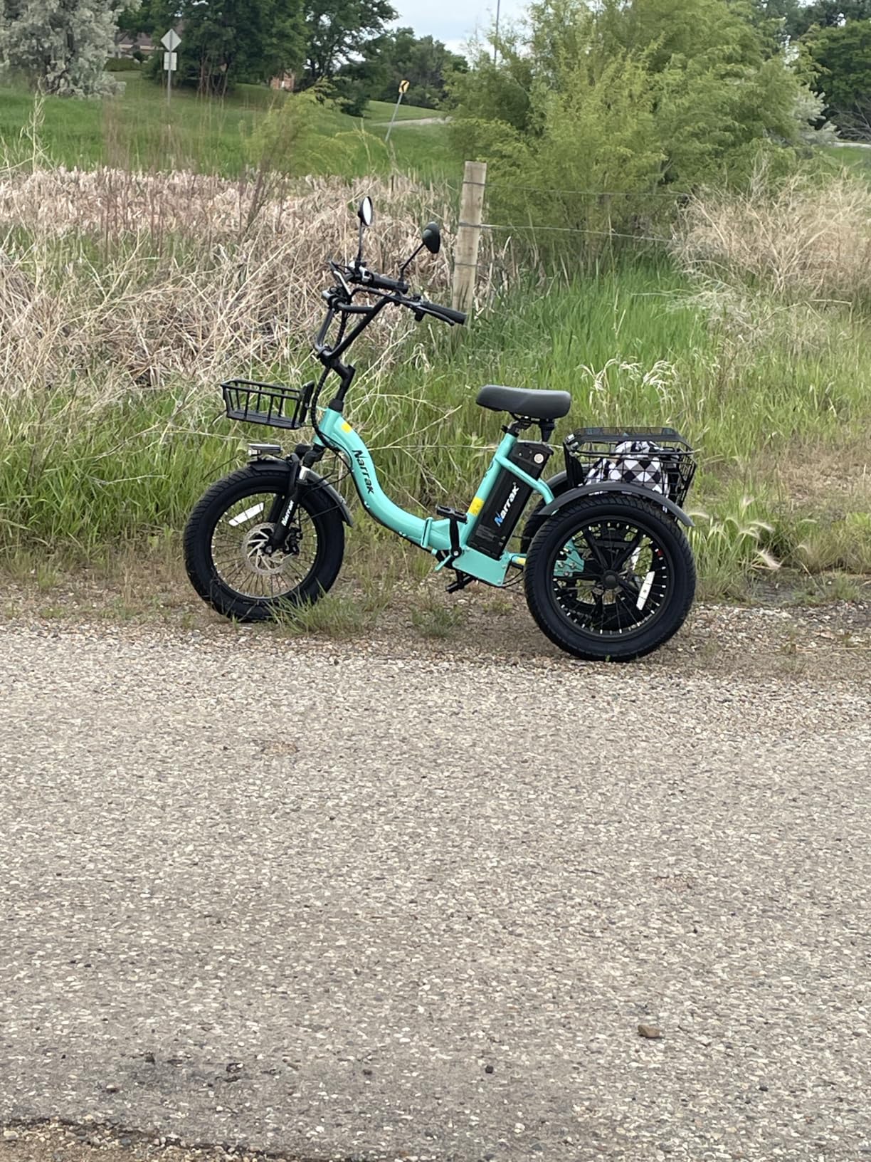 Electric Tricycle for Adults, 18