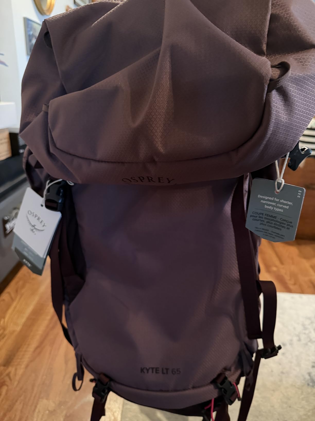 Osprey Kyte LT 65L Women's Backpacking Backpack, Blue OS customer photo 1