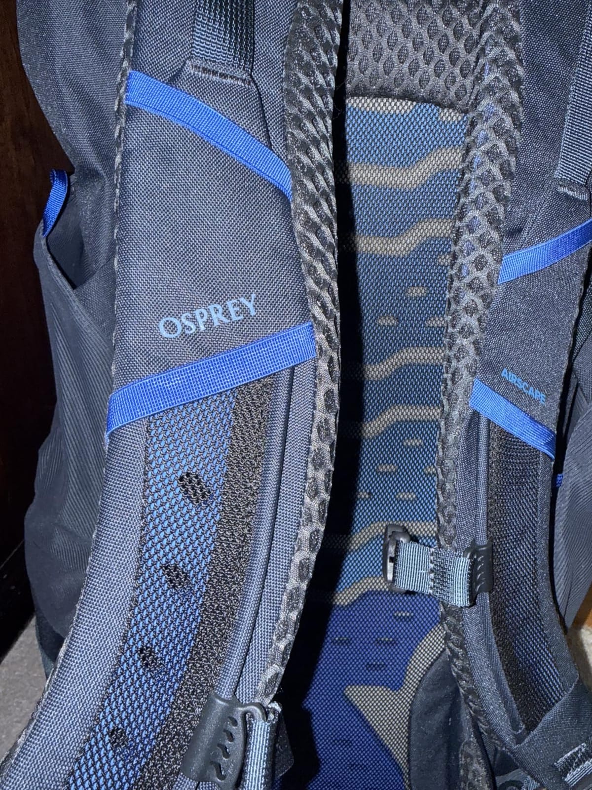 Osprey Kestrel LT 65L Men's Backpacking Backpack, Green OS customer photo 2