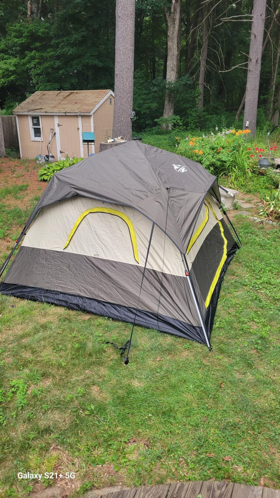 4 Person Instant Tents for Camping Setup in 50s, Cabin Tent with Rainfly | Waterproof Windproof Camping Tent, Double Layer Portable Instant Tents with Carry Bag for Family Outdoor Camping & Hiking customer photo 2