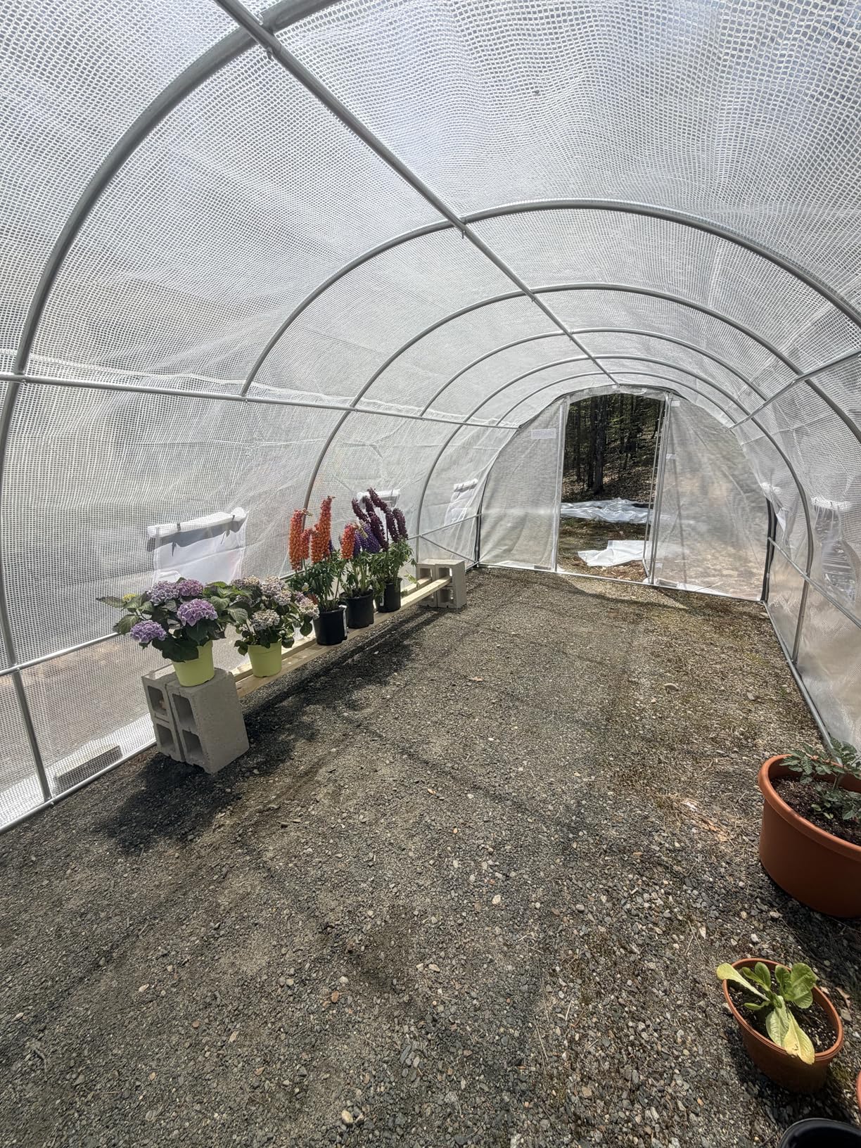 Quictent 25x10x6.6 FT Premium Greenhouse for Outdoors with 2 Door Frames | Reinforced Top Structure & Cover, Large Heavy Duty Walk-in Tunnel Hoop Green House for Garden Backyard Flower Winter, Green customer photo 1