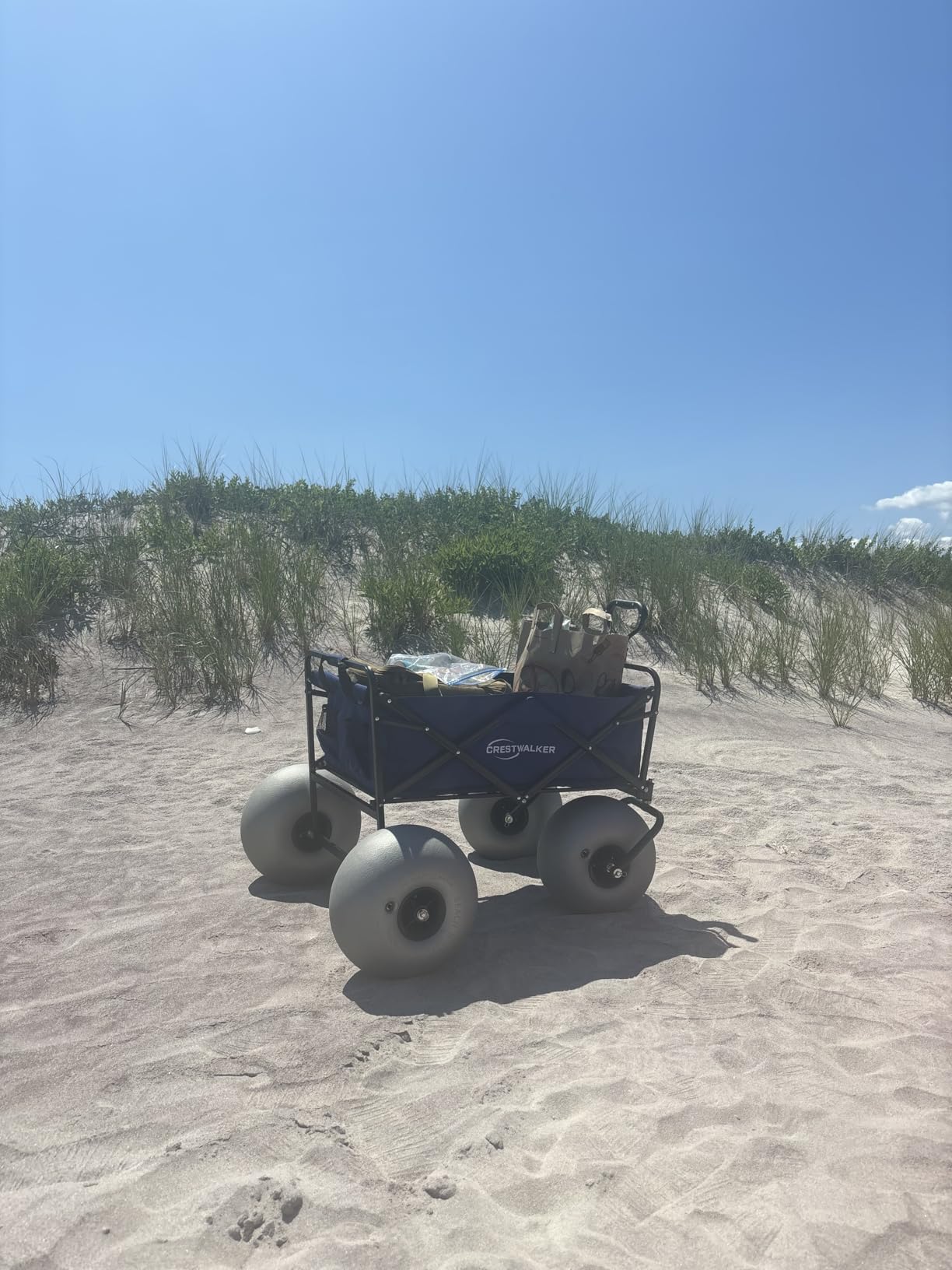 Beach Cart with 13