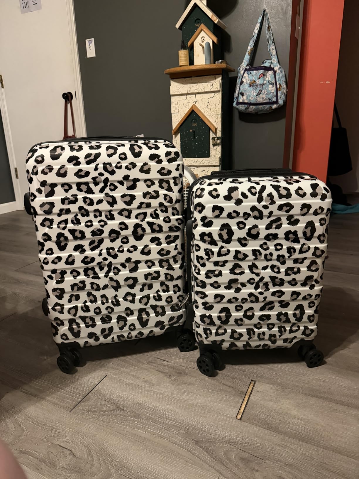 Luggage Set, 20 Inch Carry on Luggage, 24 Inch Checked Luggage Lightweight Hardside Suitcase With Spinner Wheels, TSA Lock, 2-Piece Set customer photo 1