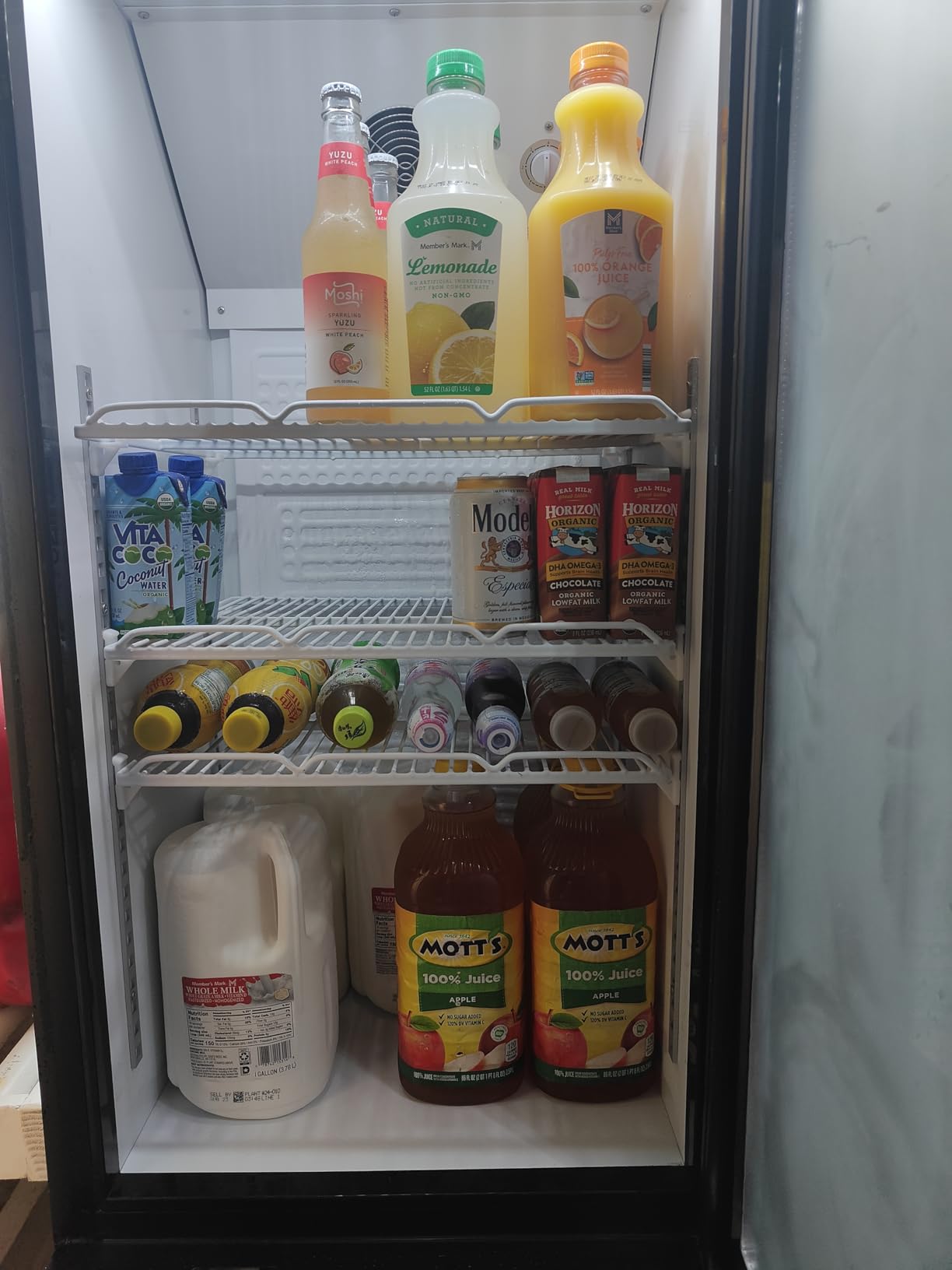 41.3''W Commercial Beverage Refrigerators, 30 Cu.ft. Glass Door Refrigerator Upright Display Cooler with Soft LED Light and Adjustable Shelves for Restaurant Grocery Stores Home customer photo 2