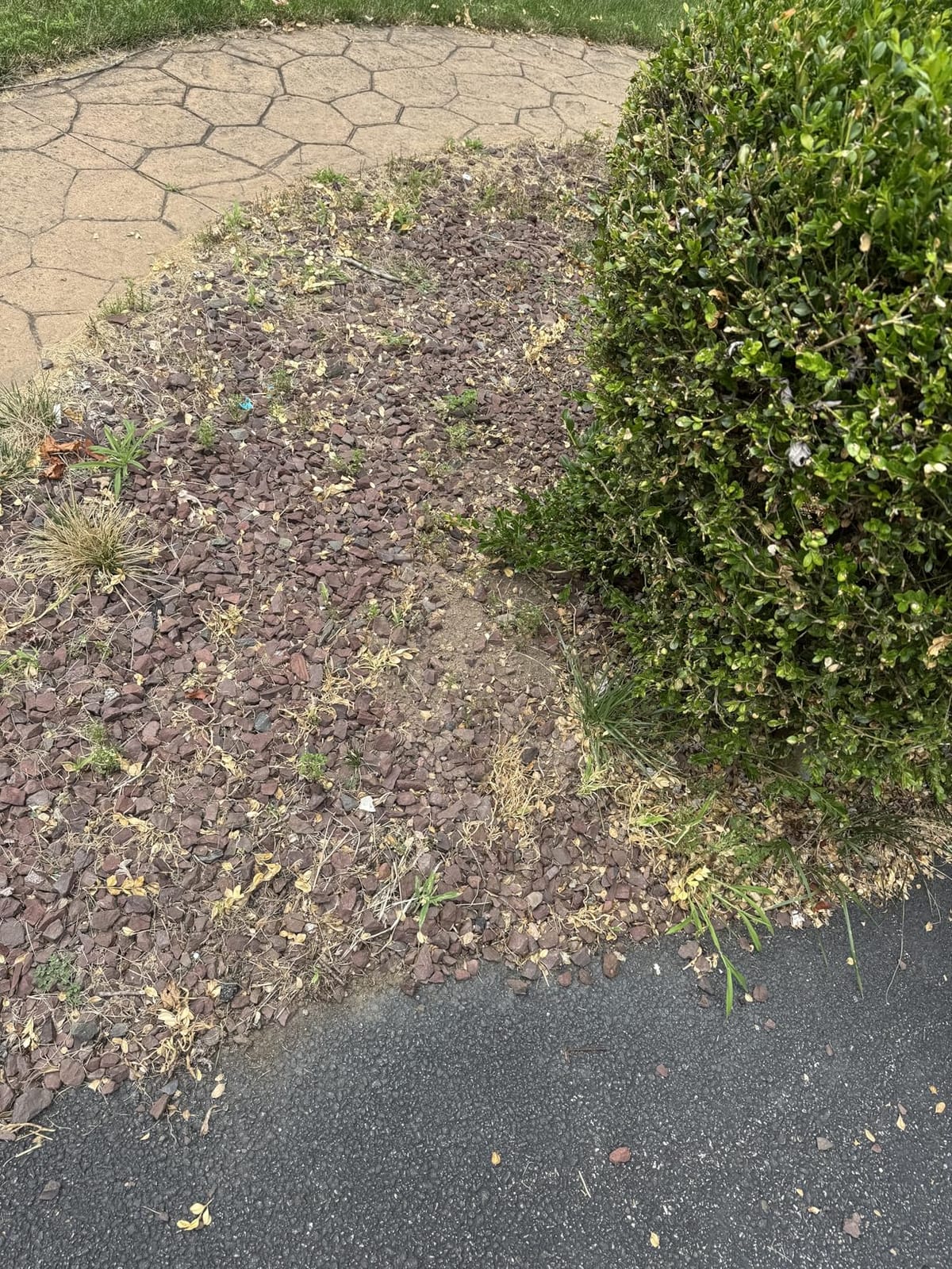 TDH Backpack Leaf Blower,63CC Backpack Blower with 665 CFM & 205 MPH customer photo 2