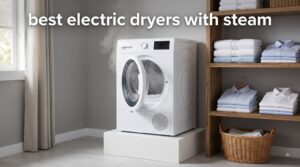 best electric dryers with steam