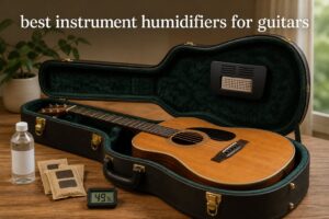 best instrument humidifiers for guitars