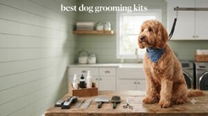best dog grooming kits