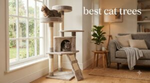 best cat trees