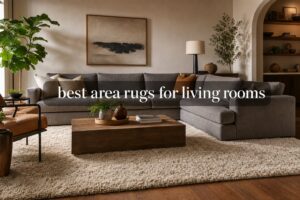 best area rugs for living rooms