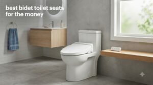 best bidet toilet seats for the money