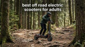 best off road electric scooters for adults
