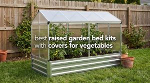 best raised garden bed kits with covers for vegetables