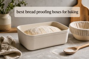 best bread proofing boxes for baking