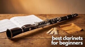 best clarinets for beginners