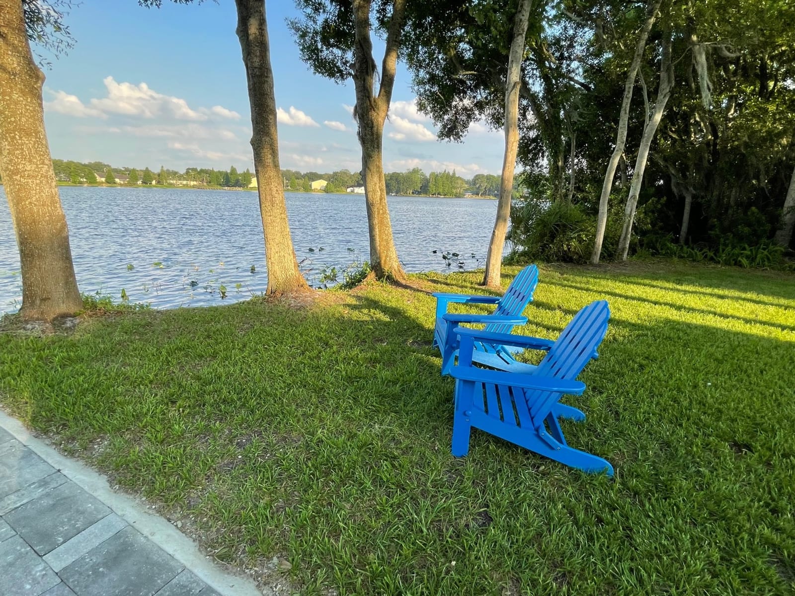 POLYWOOD AD5030TE Classic Folding Adirondack Chair, Height: 35.00