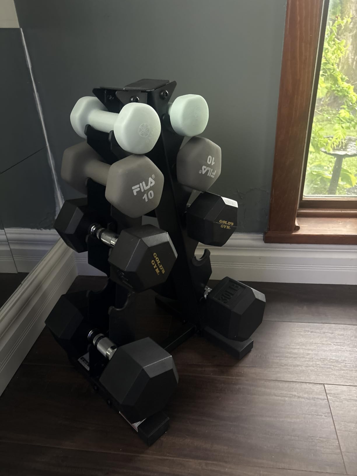 CAP A-Frame Dumbbell Weight Rack customer photo 1