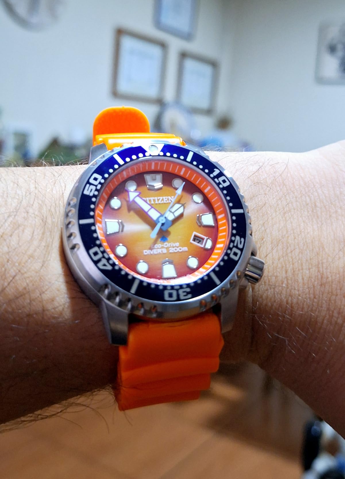 CITIZEN Promaster Dive Eco-Drive Watch, 3-Hand Date, ISO Certified, Luminous Hands and Markers, Rotating Bezel customer photo 1