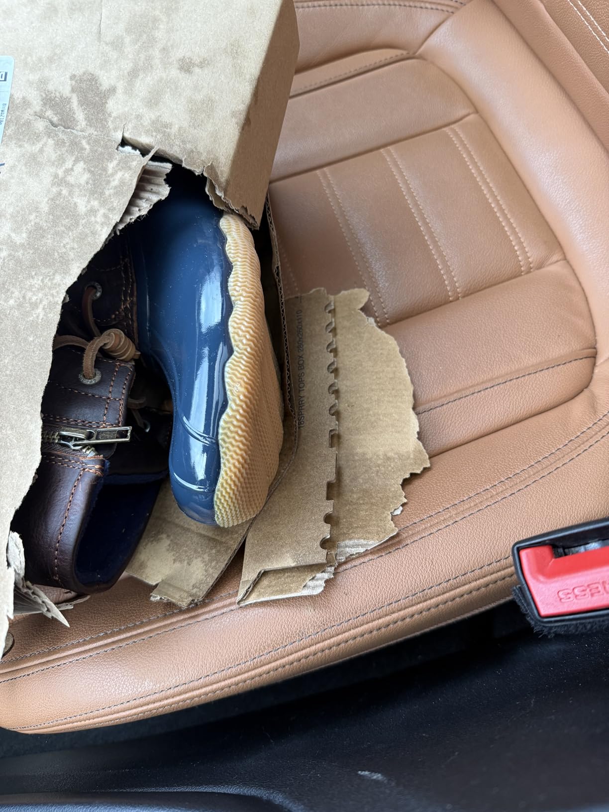 Sperry Women's Saltwater Duck Boot customer photo 2
