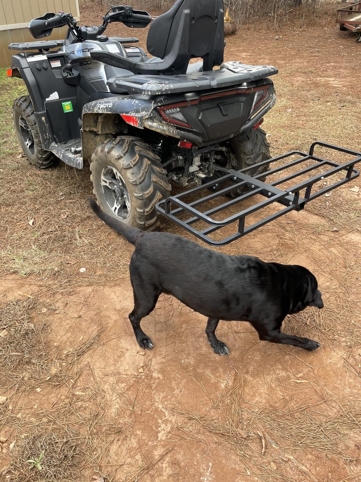 Guide Gear ATV Hitch Cargo Carrier Rack Mount, 300 lb Capacity, Heavy-Duty Steel, 48