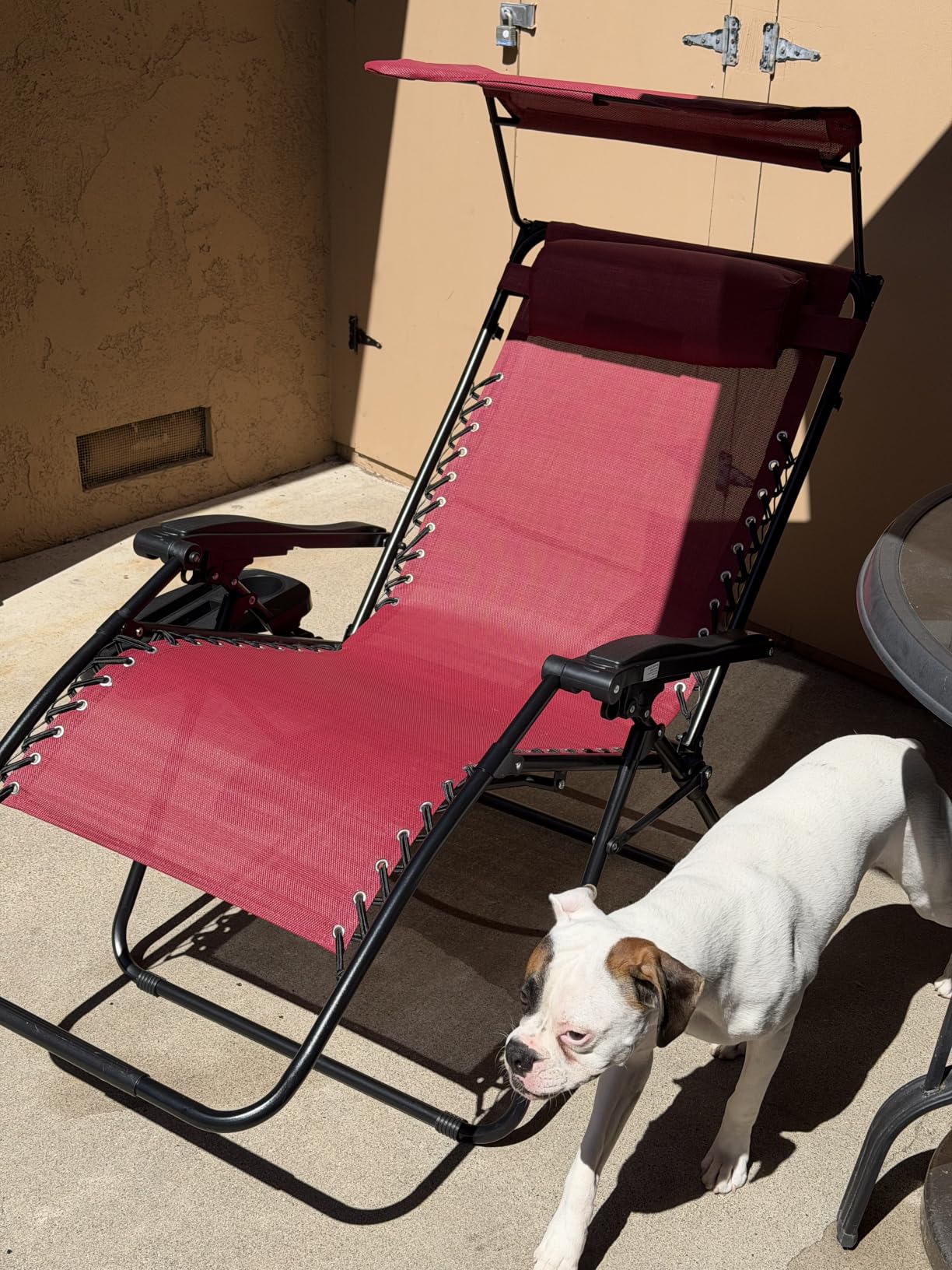 Best Choice Products Folding Zero Gravity Outdoor Recliner Patio Lounge Chair w/Adjustable Canopy Shade, Headrest, Side Accessory Tray, Textilene Mesh - Beige customer photo 2
