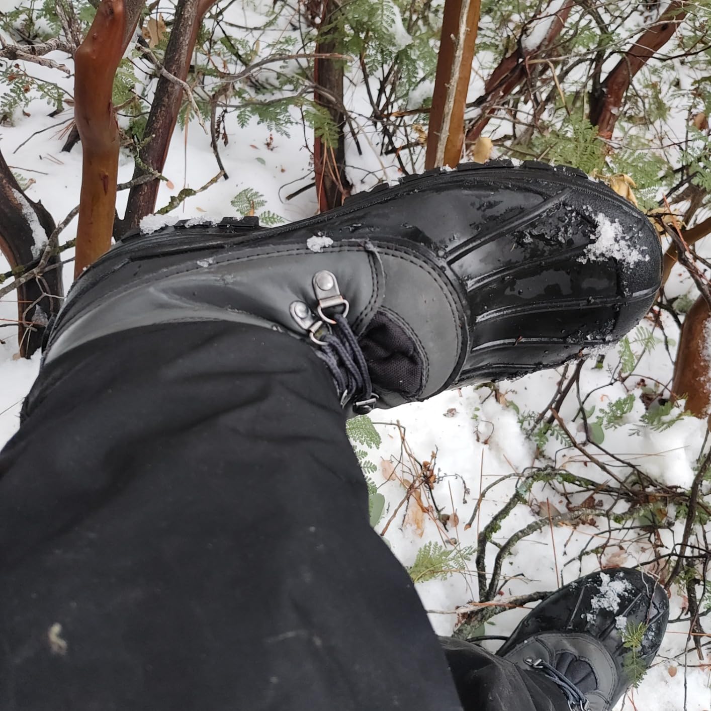 POLAR Mens Snow Hiking Mucker Duck Grafters Waterproof Saftey Thermal Boots customer photo 1