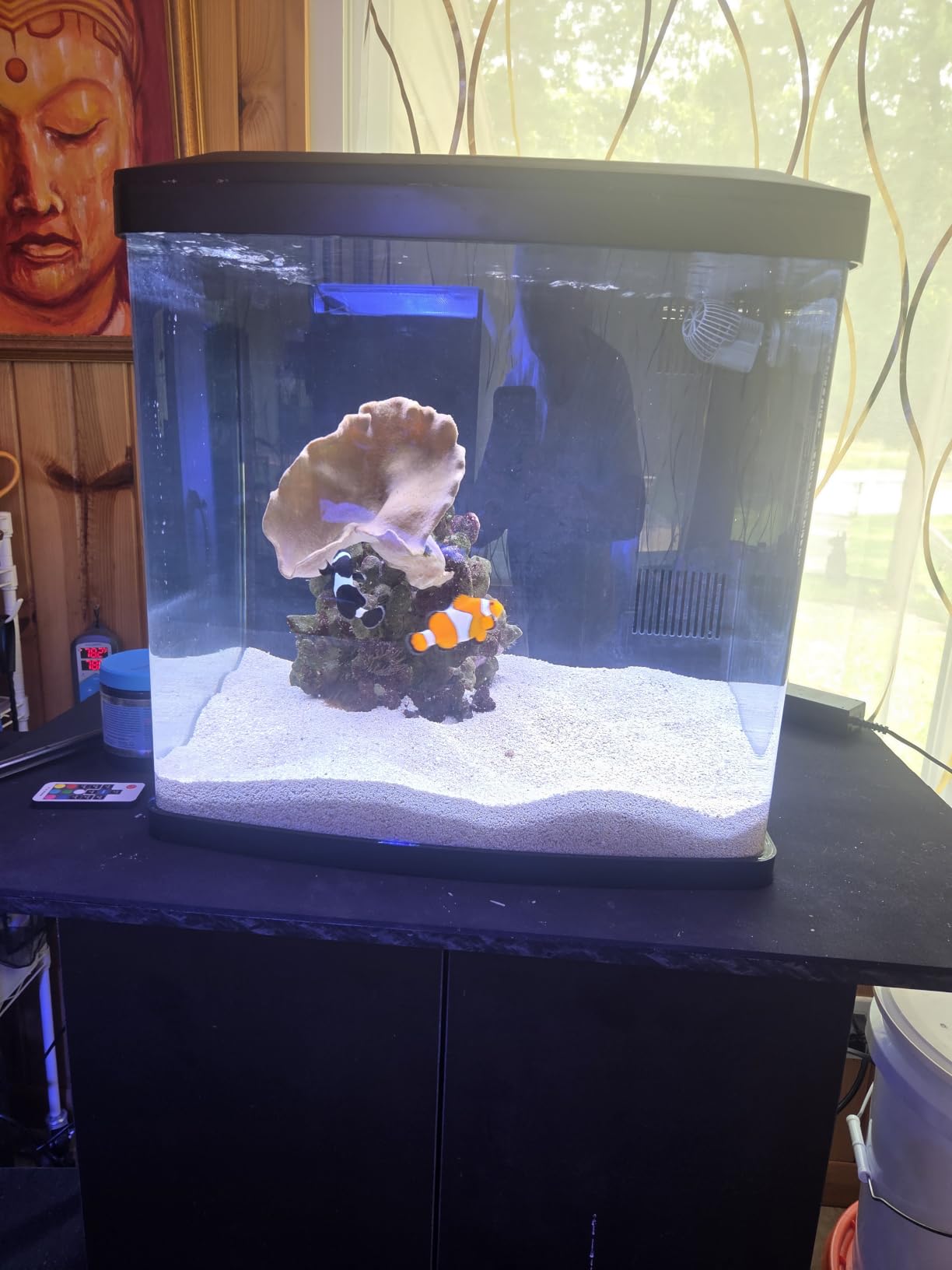 Coralife BioCube, Aquarium Kit, Integrated 24-hour Timer, Customizable LED Lighting, for Saltwater and Freshwater Environments, 32 Gallon customer photo 2
