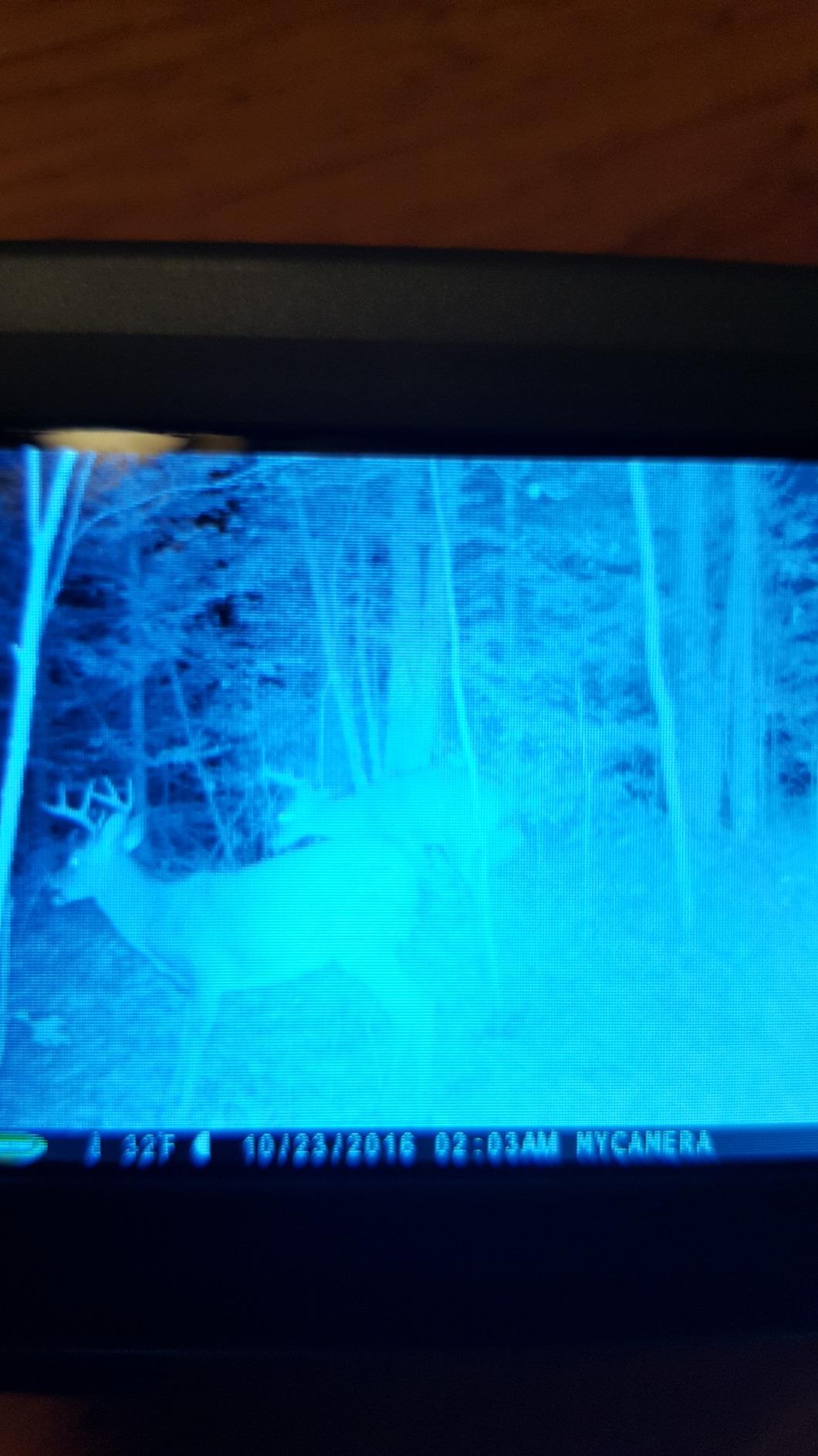 Nose Jammer Field Spray - Natural Hunting Scent Eliminator Spray customer photo 1