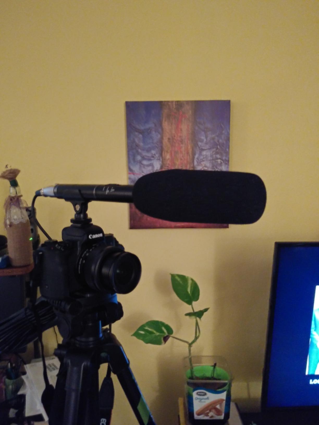 Ruittos Condenser Interview Microphone Photography Shotgun Mic for Video Camcorders DSLR DV Camcorder 11 inches/27cm Camera Microphone with Metal Holder, Anti-Wind Foam Cap XLR Cable customer photo 1