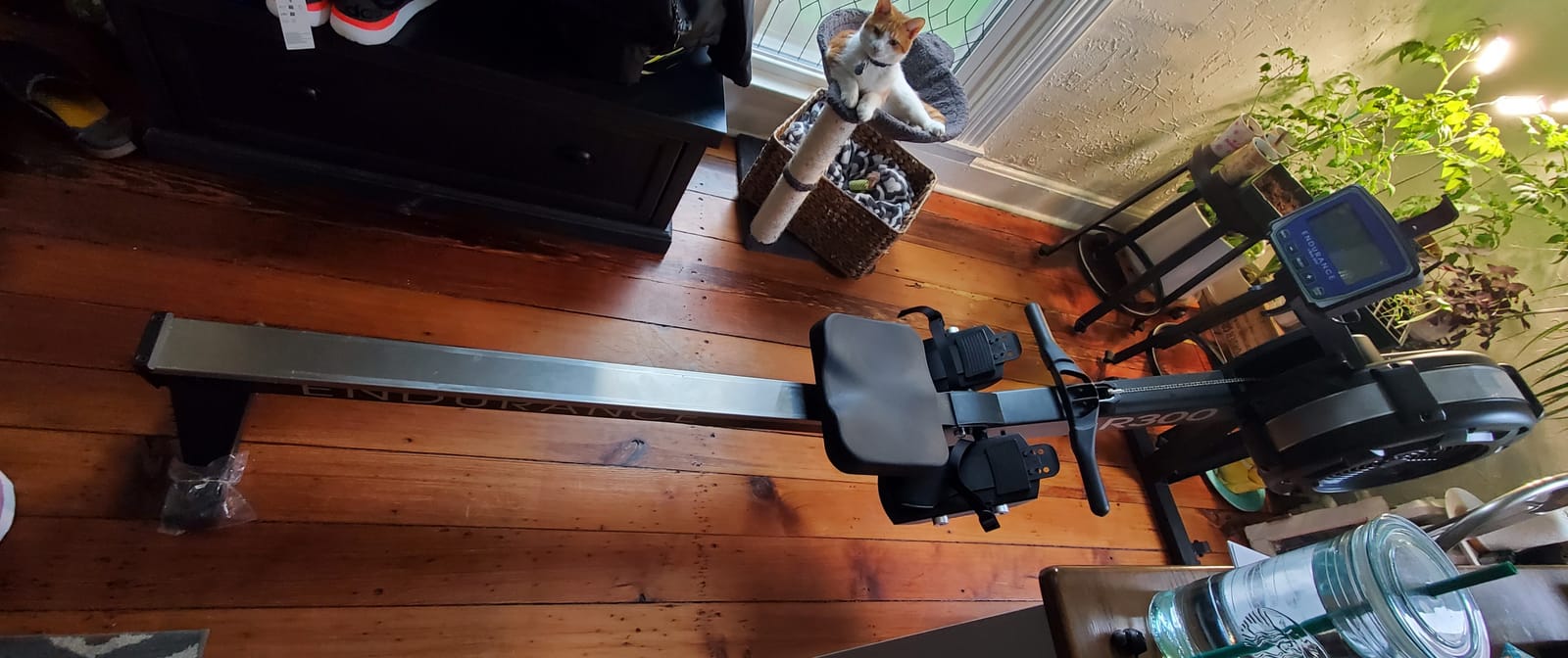 Body-Solid Endurance (R300) Air Resistance Indoor Rower - Cardio & Total Body Workout Machine with Self-Generating Power customer photo 1