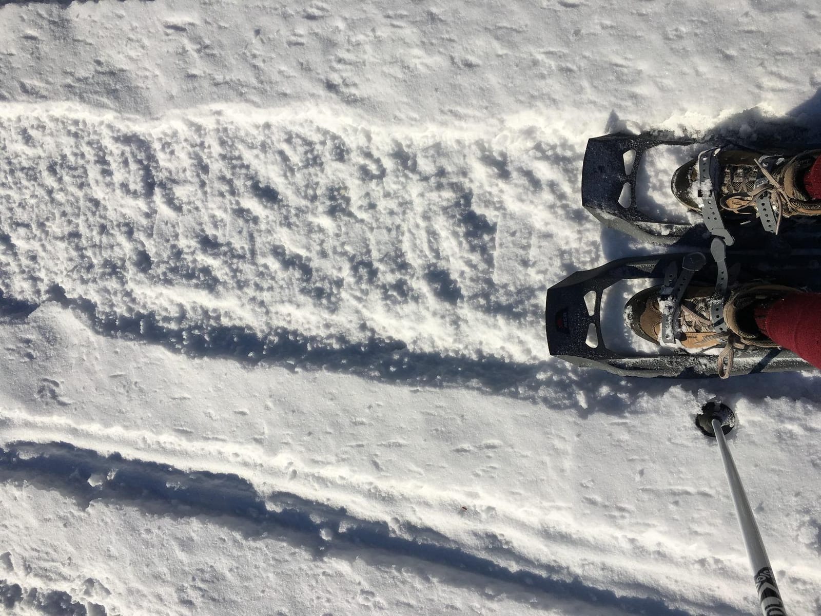 MSR Hiking Snowshoes customer photo 1