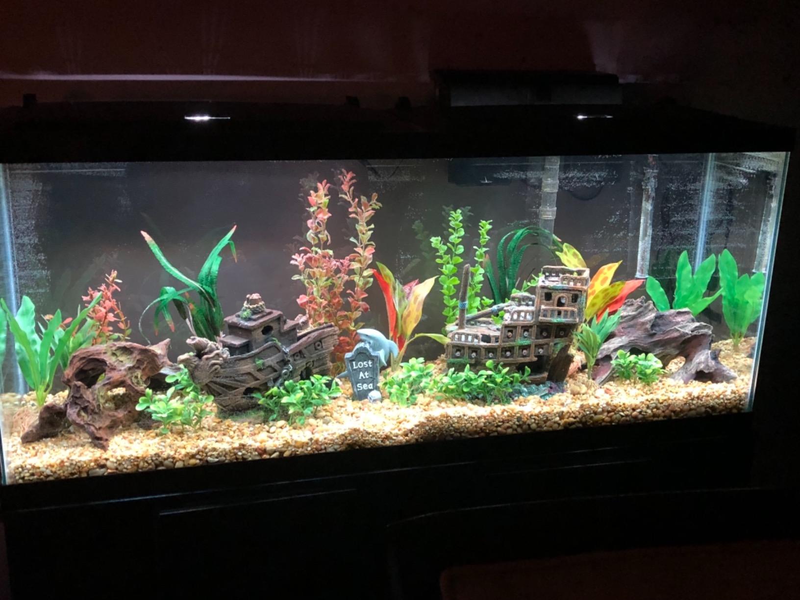 Tetra Complete with Plants 55 Gallon Fish Tank Kit, Freshwater & Saltwater | Aquarium Kit Includes LED Lights, 55 Gallon Glass Tank With 2 Hinged Hoods, Filter & Cartridges, Heater, Plants, Samples, Net customer photo 2