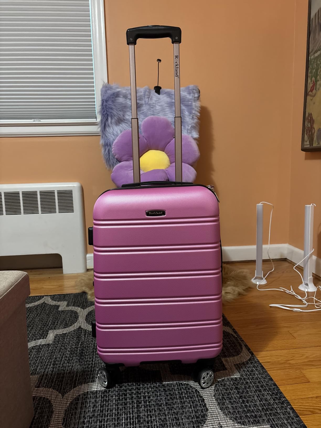 Rockland Melbourne Hardside Expandable Spinner Wheel Luggage, Mint, Checked Large 28