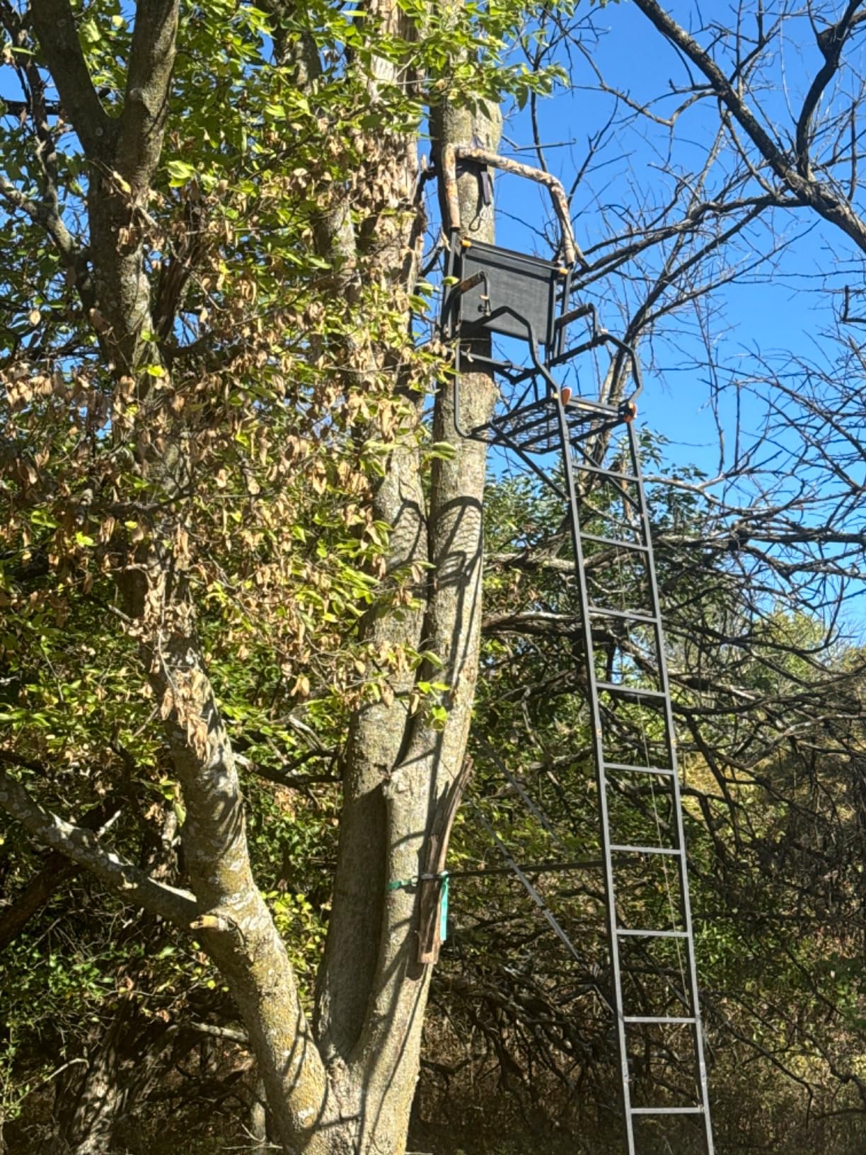 Muddy 1-Person Huntsman Deluxe Steel Ladder Tree Stand, 17 ft Tall | 300 lb Capacity customer photo 1
