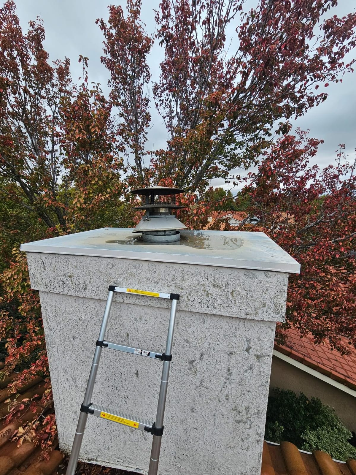Telescoping Ladder 16 FT, Aluminum Extension Ladder with Non-Slip Feet customer photo 1