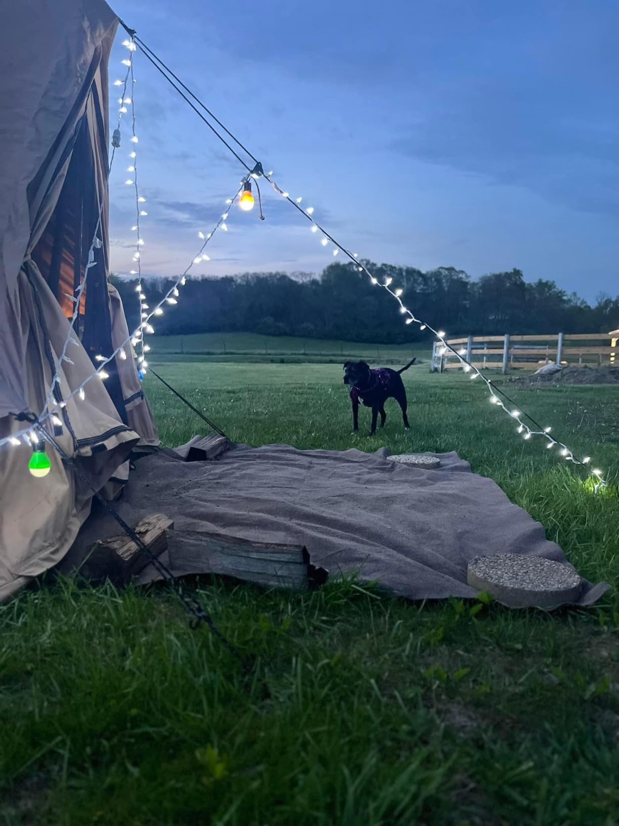 WHITEDUCK Regatta Canvas Bell Tent Fire Water Repellent - w/StoveJack, Waterproof, 4 Season Luxury Camping and Glamping Yurt Tent Outdoor customer photo 2
