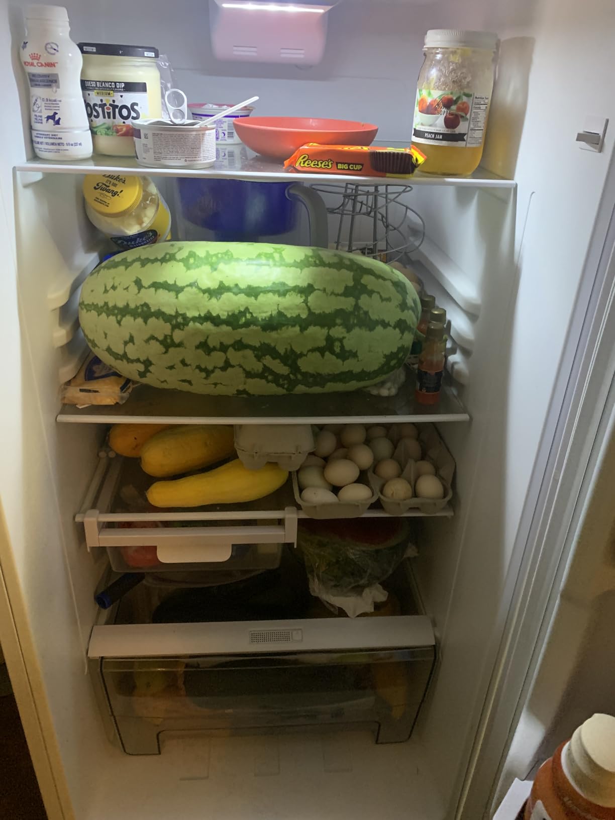 Galanz GLR12TRDEFR Refrigerator, Dual Door Fridge, Adjustable Electrical Thermostat Control with Top Mount Freezer Compartment, Retro Black, 12.0 Cu Ft customer photo 2