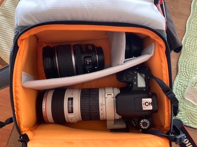 Lowepro LP37238-PWW Truckee BP 250 LX Outdoor Camera Backpack, Fits 15 inch Tablet, for Compact DSLR/Mirrorless, for Sony, Canon, Nikon, 1-2 Lenses, Gimbal, Video Drone, DJI, Osmo, Mavic, Light Grey customer photo 2