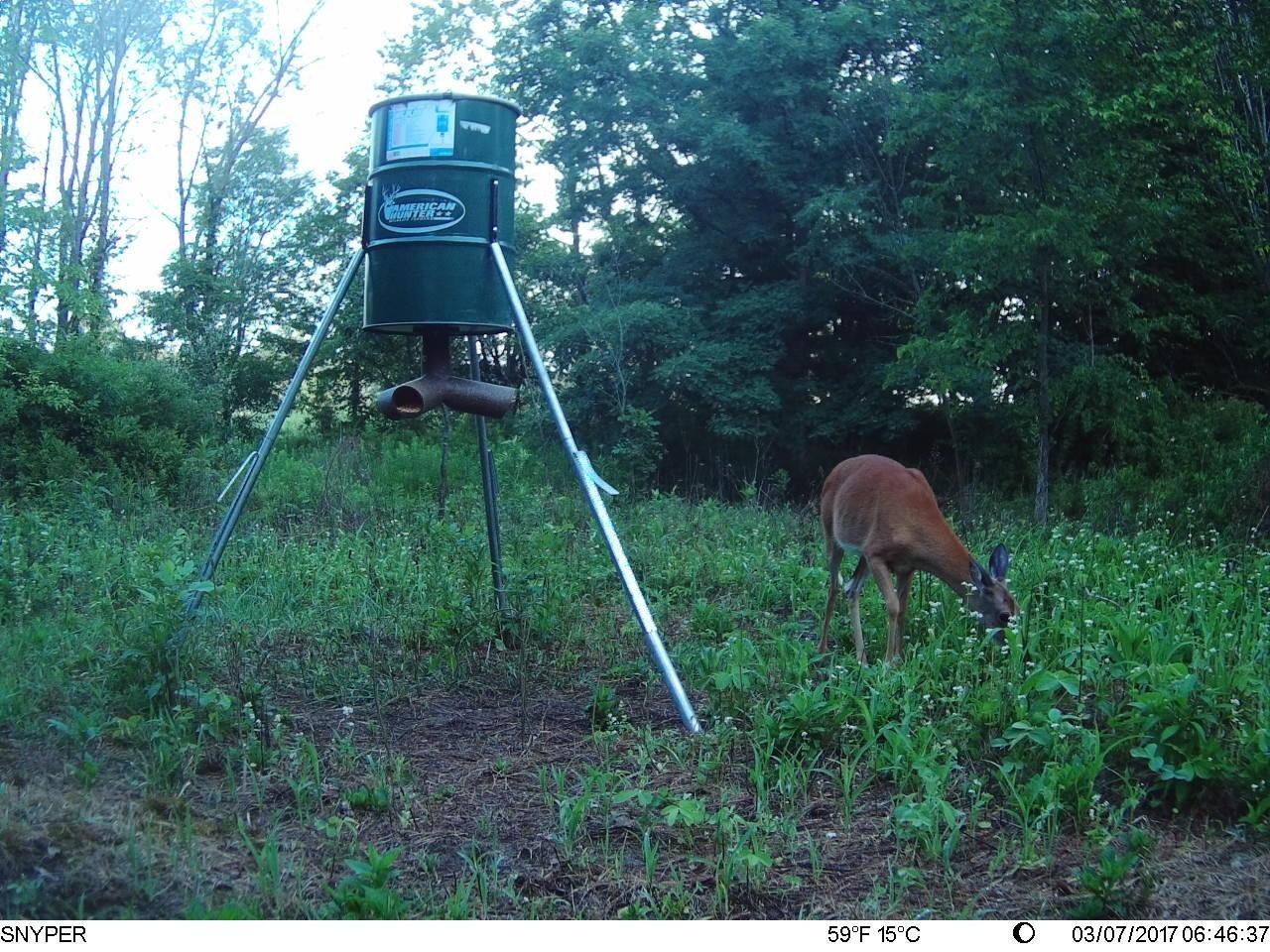 Protein 3 Way Gravity Head | Hunting Durable Gravity Feed Delivery System with 3 Feeding Tubes for 3 Legged Game Feeder, Standard Injection-Molded customer photo 1