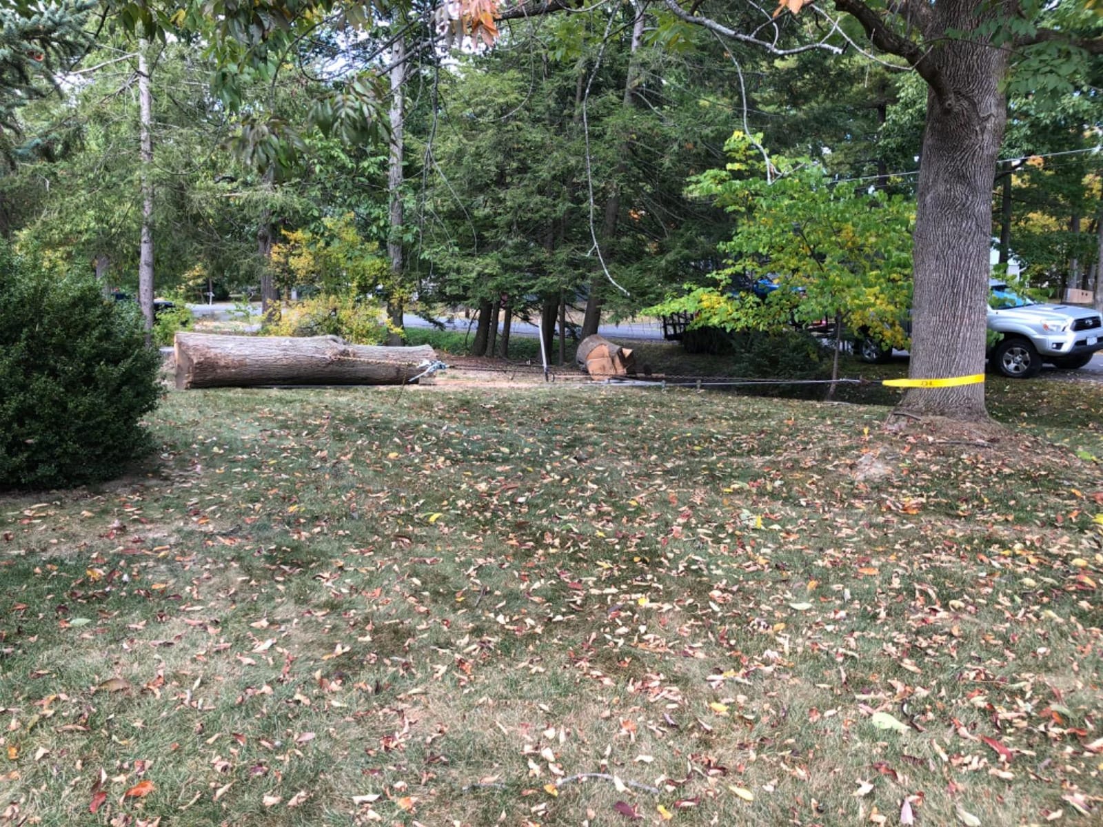 Tree Saver Strap, 3 inchX9 Foot Winch Strap, Tow Strap, Heavy Duty 36,000 Pound Capacity customer photo 2