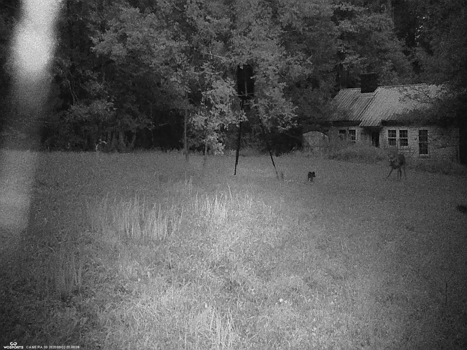 WOSPORTS Mini Trail Camera,30MP 1080P HD Game Camera Motion Activated with IR Night Vision Waterproof Video Deer Cam for Outdoor Wildlife Monitoring customer photo 1
