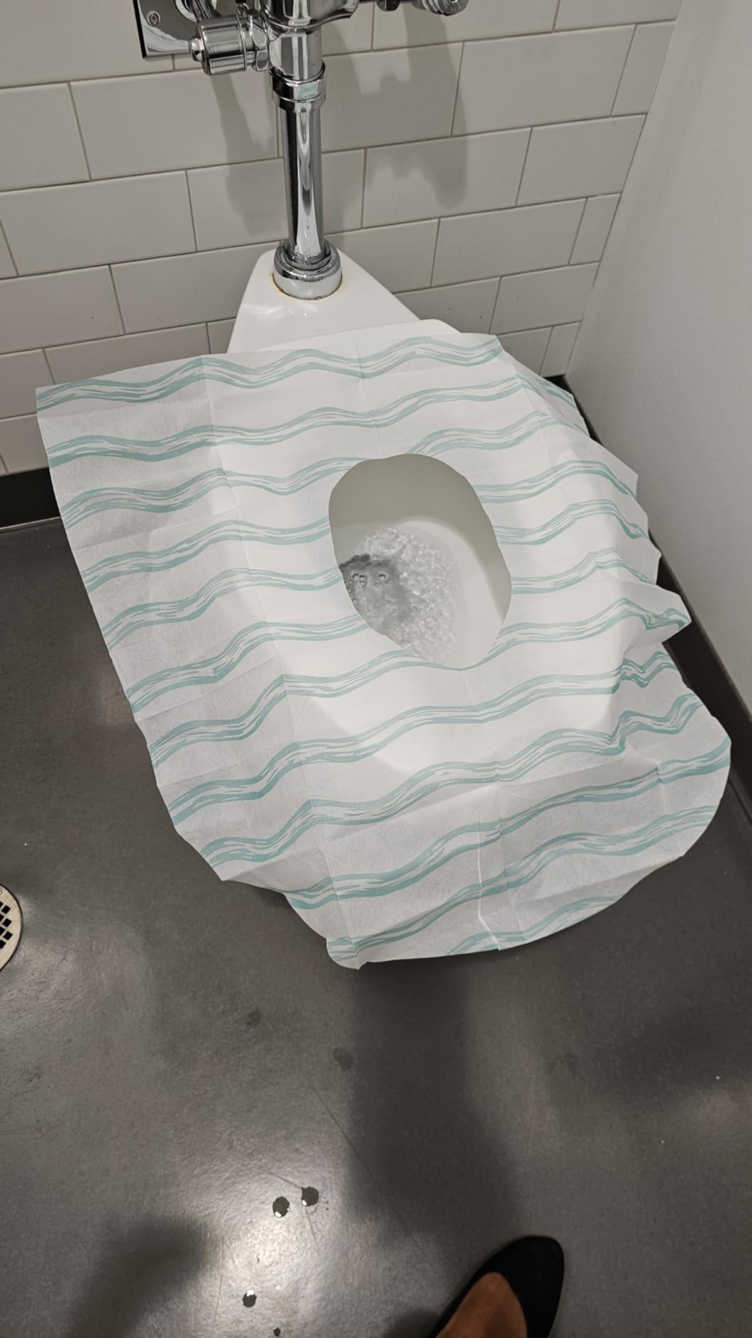 Relyo Disposable Toilet Seat Cover for Travel - 20 Pack with Covers Wrapped in Sets of 2, Non-Flushable Liners, Fits Most Seats - Kids, Toddlers, Adults (Waves, 20) customer photo 1
