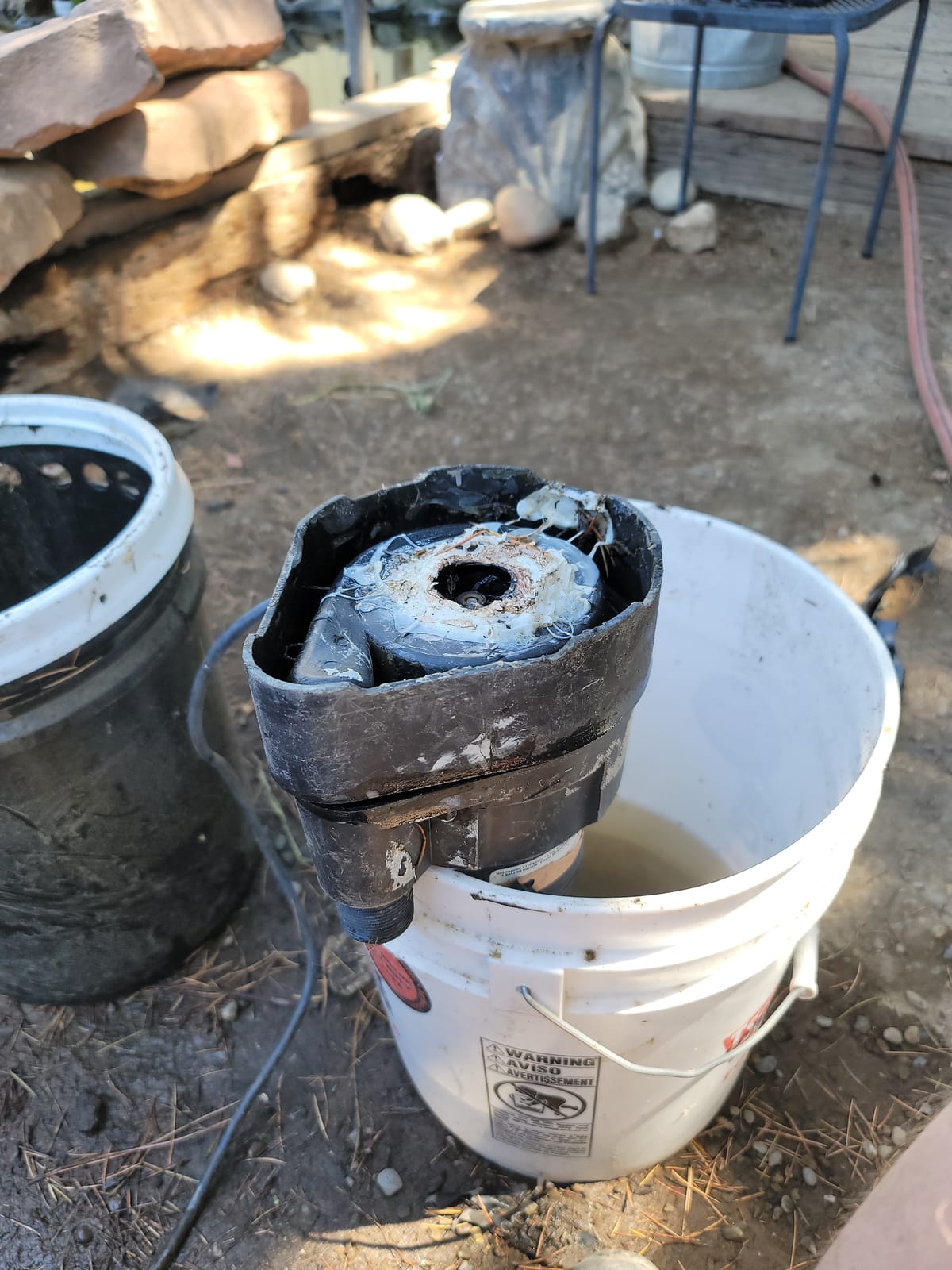 Superior Pump 91014 1/4 HP High Flow Thermoplastic Utility Pump, Black customer photo 2