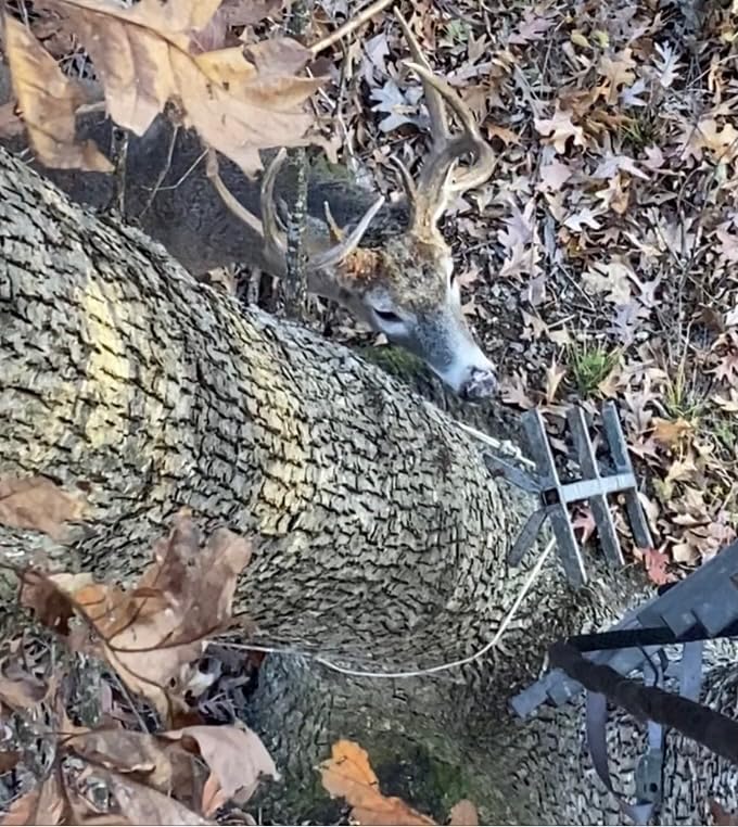 Scent Thief The Hunter's and Trophy Pack - Premium Hunting Gear customer photo 1