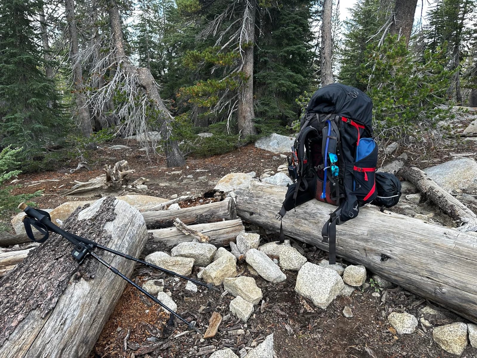 Osprey Aether Plus 100L Men's Backpacking Backpack, Black L-XL customer photo 1