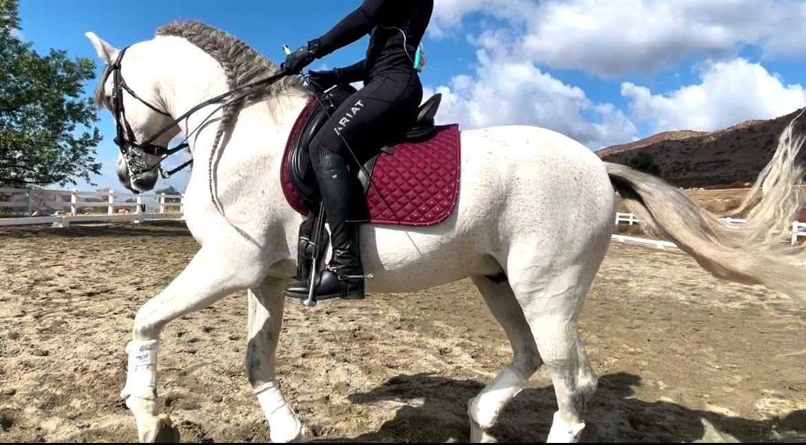 HORZE Rover Synthetic Leather Equestrian Tall Riding Boots for Women customer photo 1