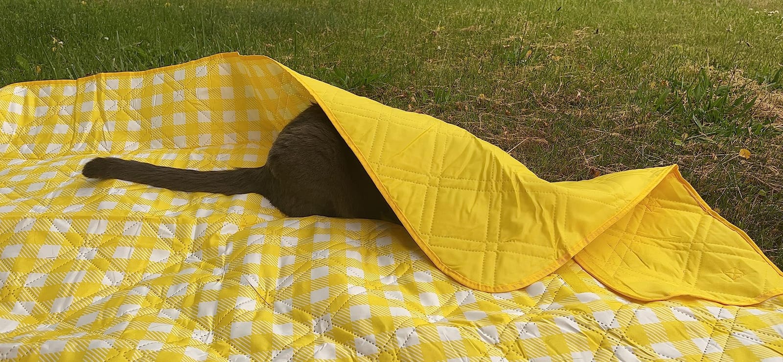 ZAZE Picnic Blankets Machine Washable, 80''x80'' Extra Large Waterproof Sandproof Foldable Compact Beach Blanket, Oversized XL Outdoor Mat for Spring Summer Camping, Park, Travel Grass(Blue and White) customer photo 2